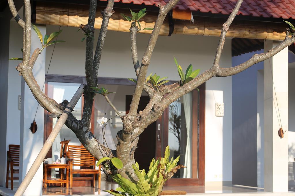 Soka Amed Beach Chambre photo